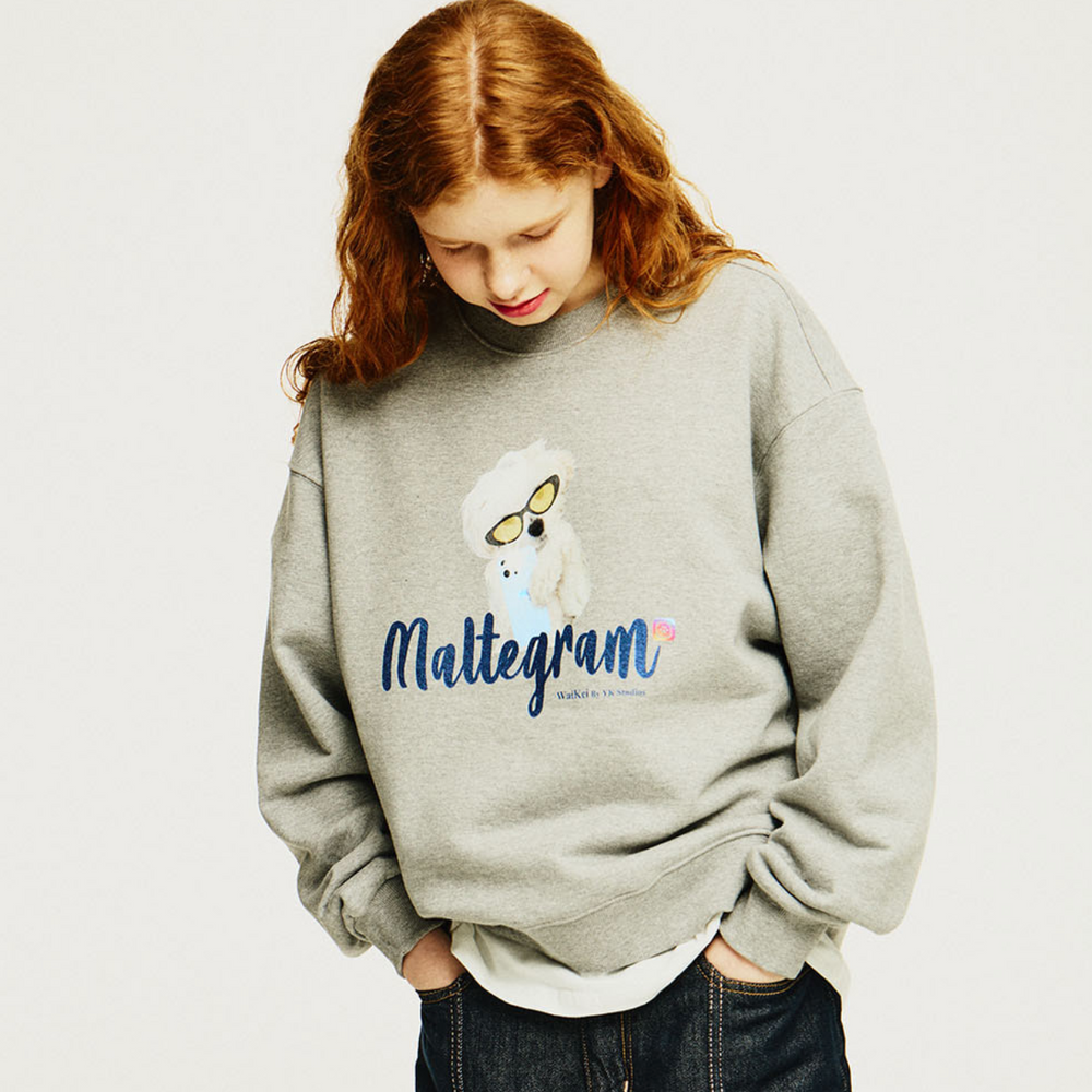 WAIKEI Maltegram Sweatshirts GREY