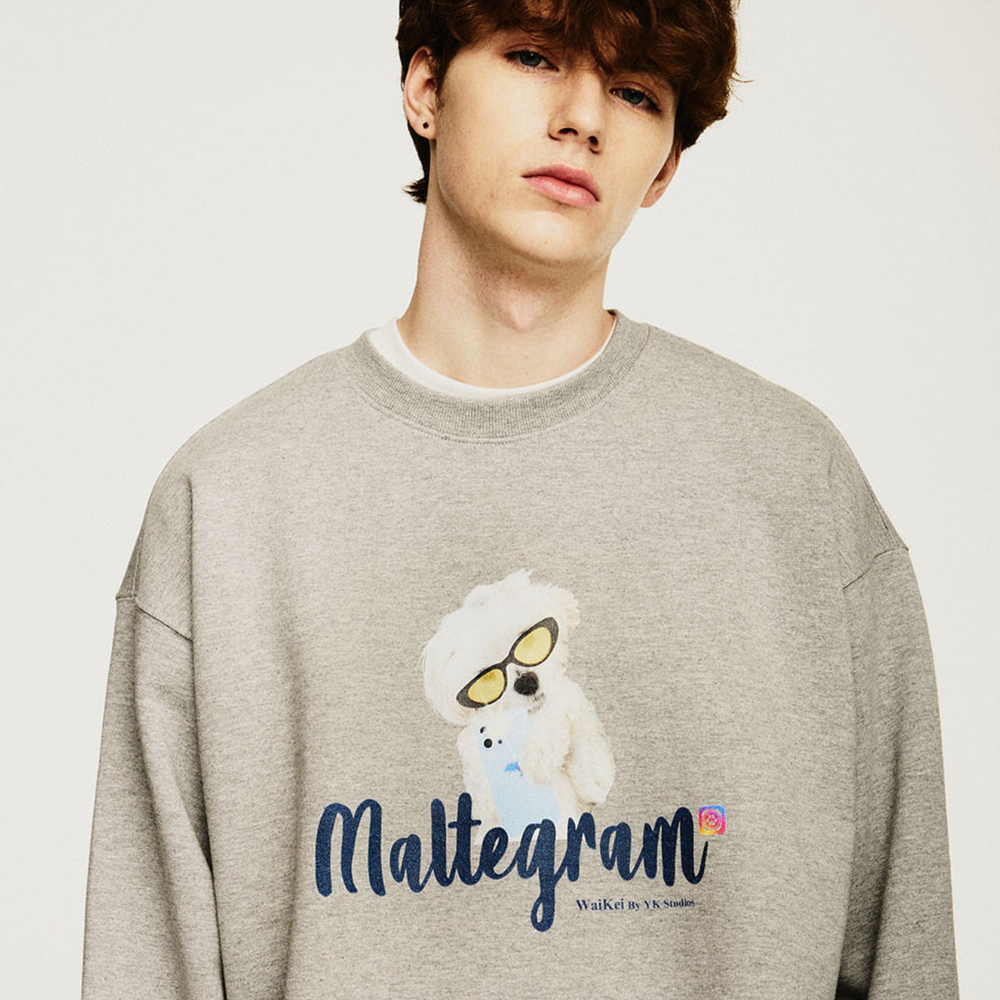 
                  
                    WAIKEI Maltegram Sweatshirts GREY
                  
                