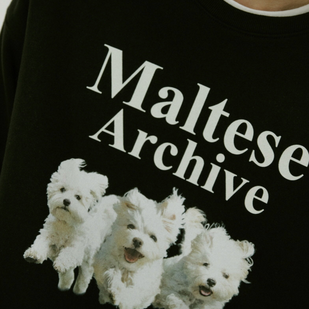 
                  
                    WAIKEI Maltese Archive Sweatshirts BLACK
                  
                