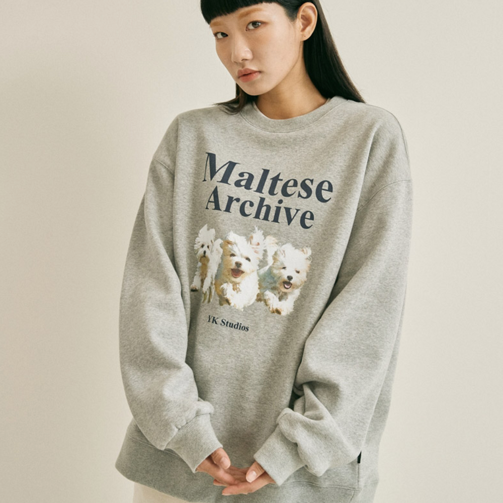 
                  
                    WAIKEI Maltese Archive Sweatshirts GREY
                  
                