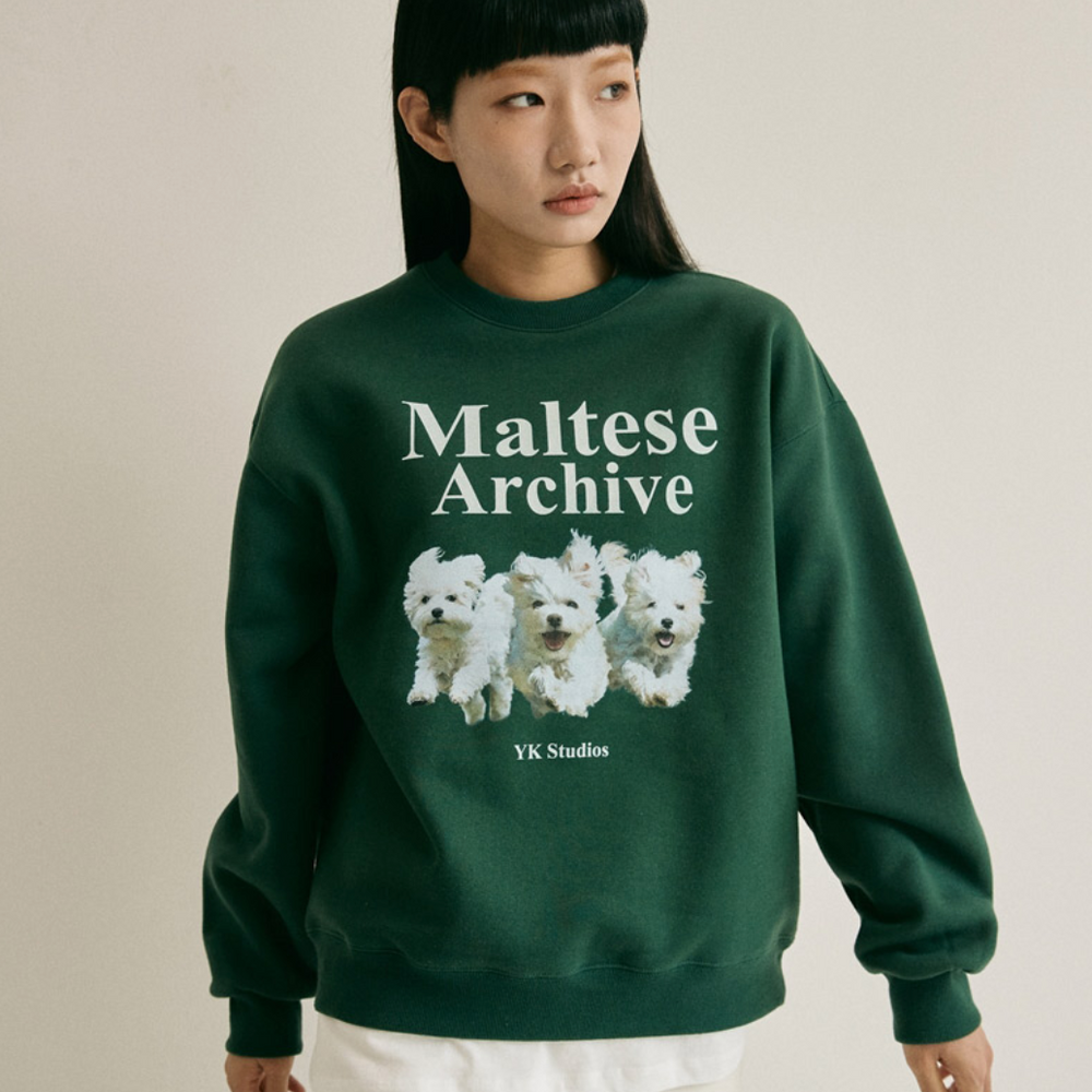 
                  
                    WAIKEI Maltese Archive Sweatshirts GREEN
                  
                